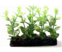 Aquarium plants 10.2cm H-4