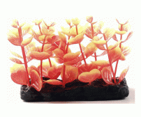 Aquarium plants 7.6cm H-3