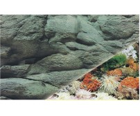 Plastic background 40cm x 15m J05 / J01