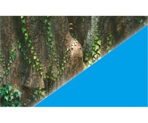Plastic background 50cm x 15m J71 / J15