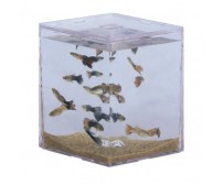 Mini aquarium MBA-1