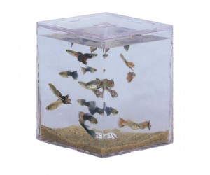 Mini aquarium MBA-1