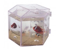 Mini aquarium MBA-3
