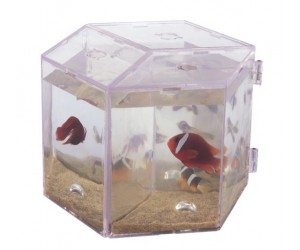 Mini aquarium MBA-3