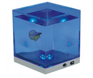 Mini aquarium NA-1