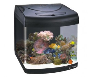 Aquarium BY-388