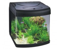 Aquarium BY-388A