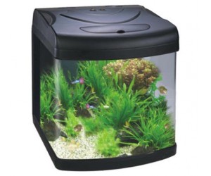 Aquarium BY-388A