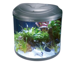 Aquarium BYG-86