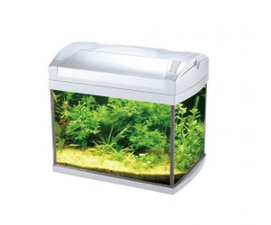 Aquarium ZJ-201