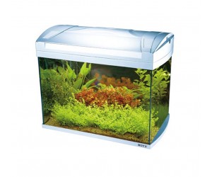 Aquarium ZJ-401A