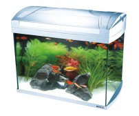 Aquarium ZJ-601A
