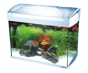Aquarium ZJ-601A