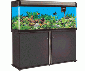 Cabinet EAT-150