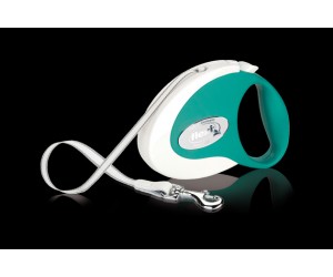 Flexi Collection Fresh Small - green