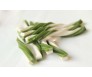 Sweet Milk Sticks 12cm / 12pcs
