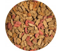 Jator Cat salmon, tuna and vegetables 20kg