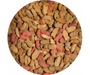 Jator Cat salmon, tuna and vegetables 20kg
