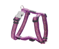 Harness RedDingo Cosmos Purple Small 12mm