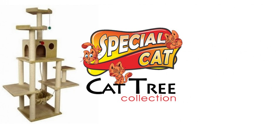 SPECIAL CAT